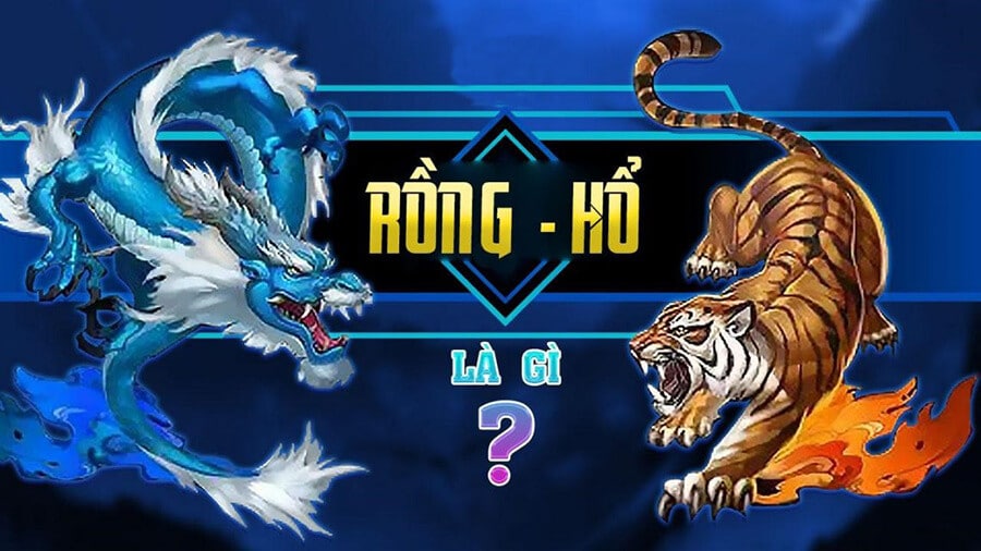 Tổng quan về Rồng Hổ là gì?