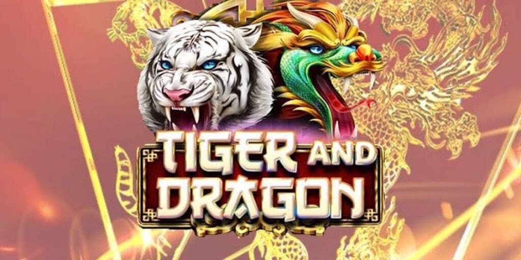 Một số lưu ý quan trọng khi chơi Rồng Hổ bạn nên biết